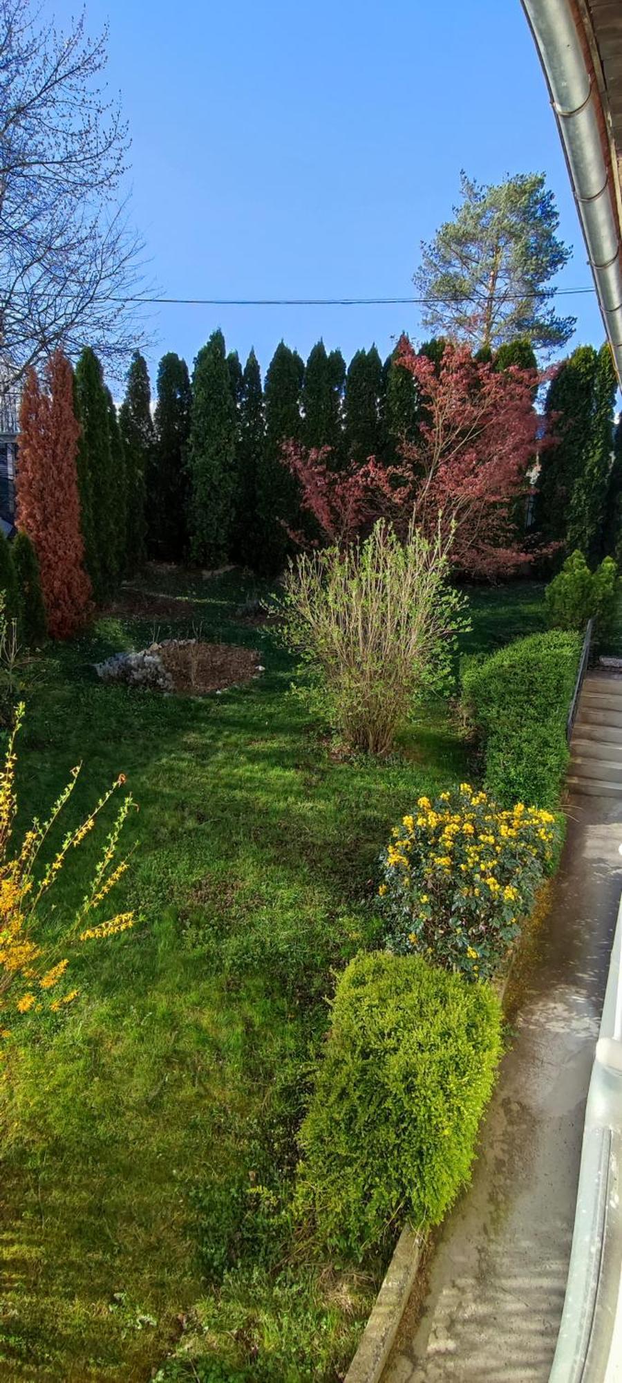 بيت للعطل Garden House *